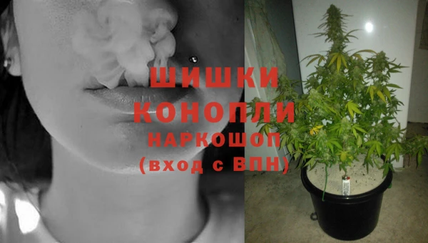 спайс Алексеевка