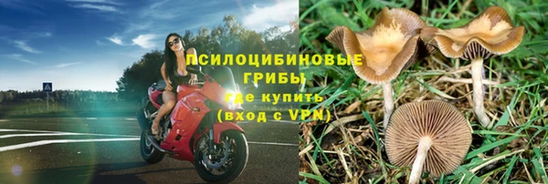 jwh Алзамай
