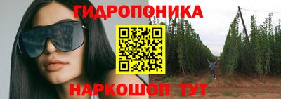 PSILOCYBIN Гусев