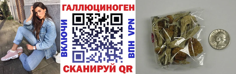 Псилоцибиновые грибы прущие грибы  MEGA как зайти  Еманжелинск 