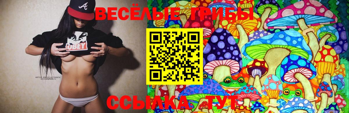 Псилоцибиновые грибы мухоморы  Псилоцибиновые грибы ЛСД  Еманжелинск  Вход с VPN 